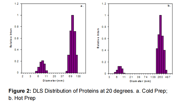 BSA Analysis 2
