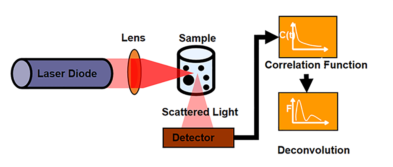 DLS Diagram