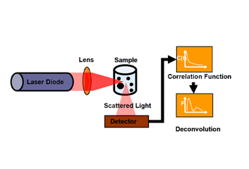 Dynamic Light Scattering (DLS)